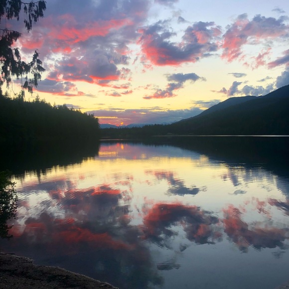 Meet your Posher, Jaia - Picture 1 of 3